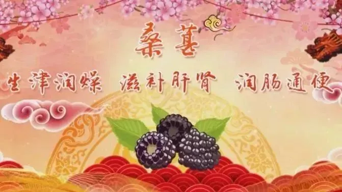桑椹能补硒吗