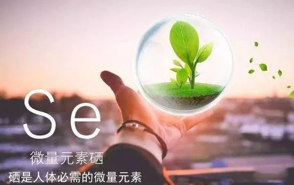 宇康教授补硒(硒与人体健康关系)-硒宝网