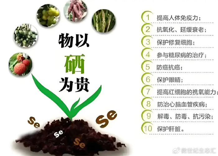 补硒有危害吗(中国缺硒地区分布)-硒宝网