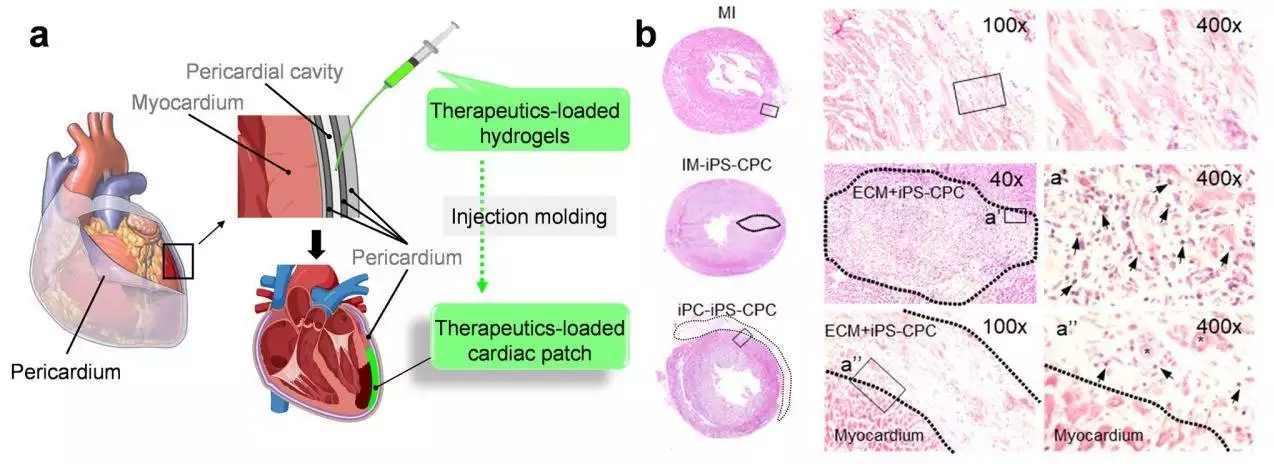 补硒食用动物(营养补充过量危害)-硒宝网