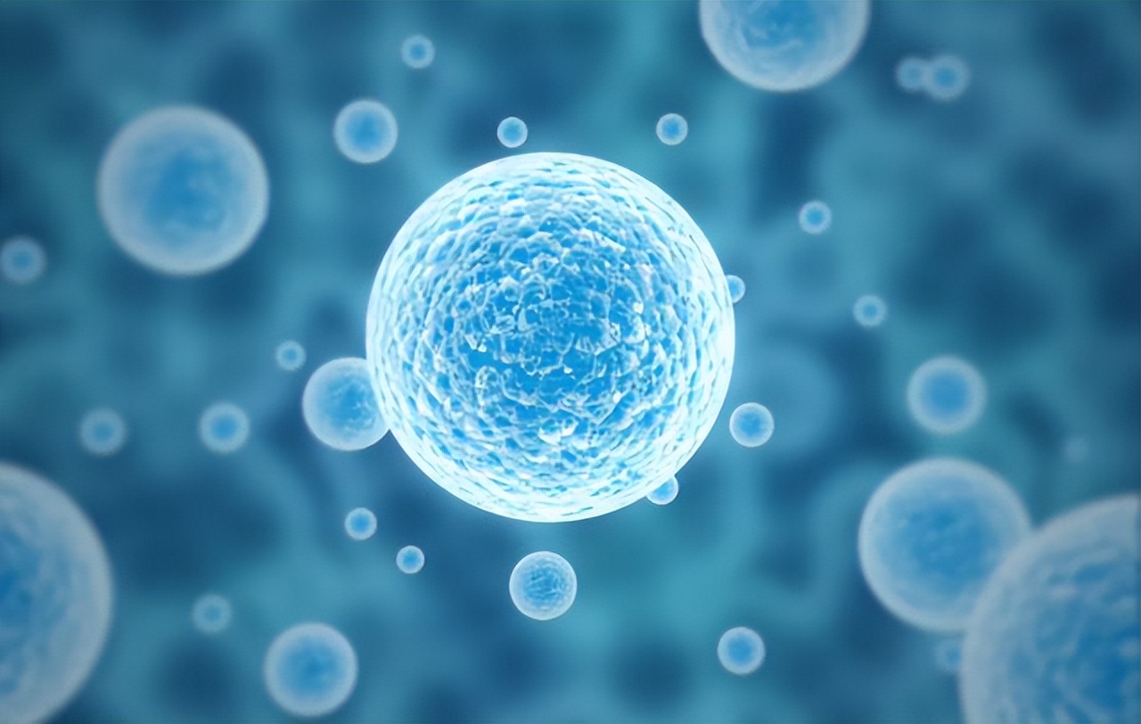 补硒要吃什么(硒与免疫系统健康)-硒宝网