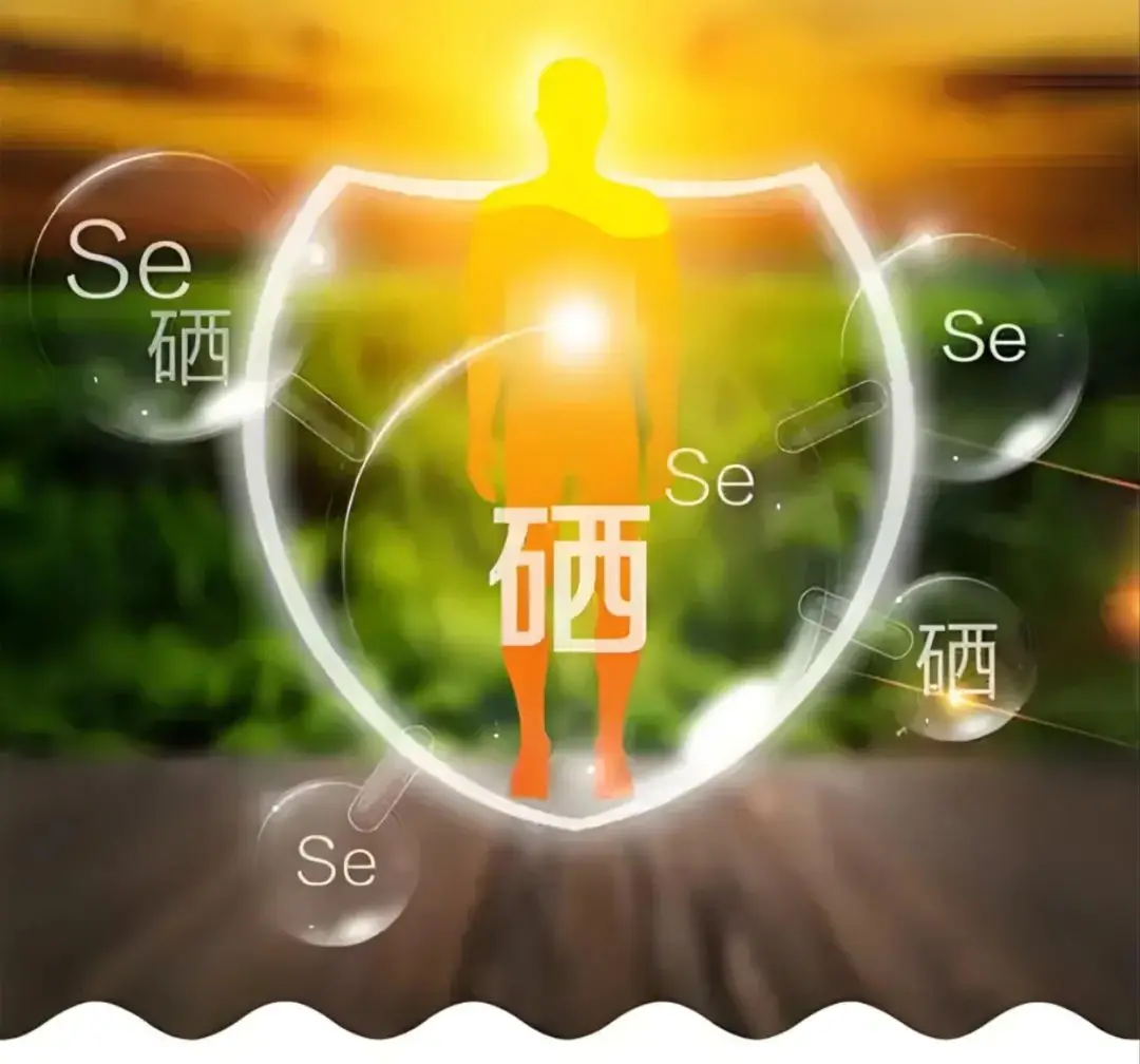 甲低如何补硒
