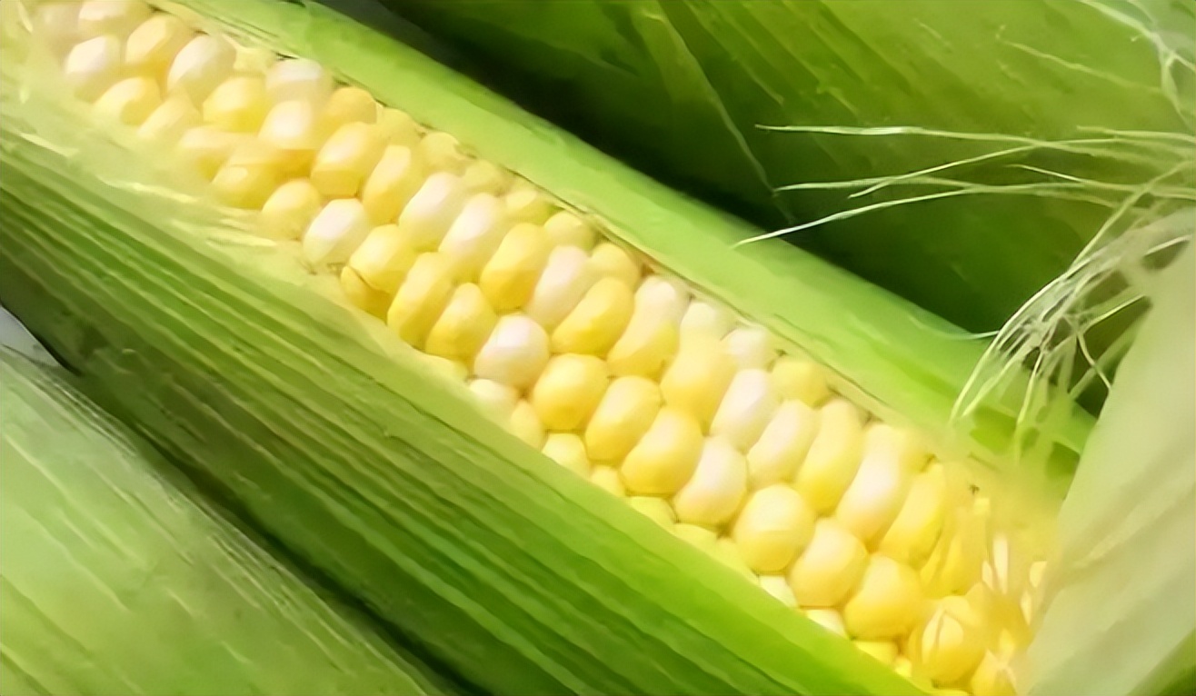玉米能补硒吗(紫甘蓝甲状腺)-硒宝网
