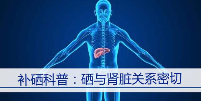 肾衰能补硒吗(控制血压肾衰)-硒宝网