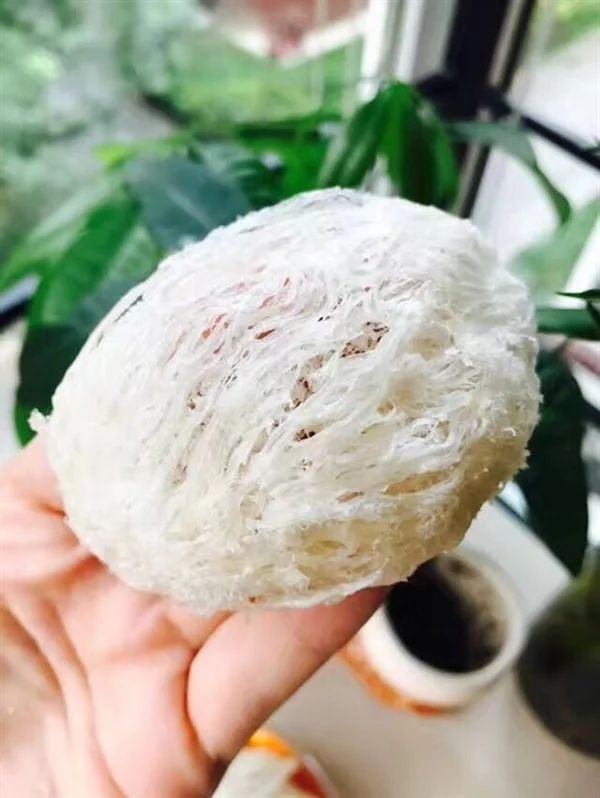 燕窝能补硒吗(孕妇吃燕窝的好处)-硒宝网