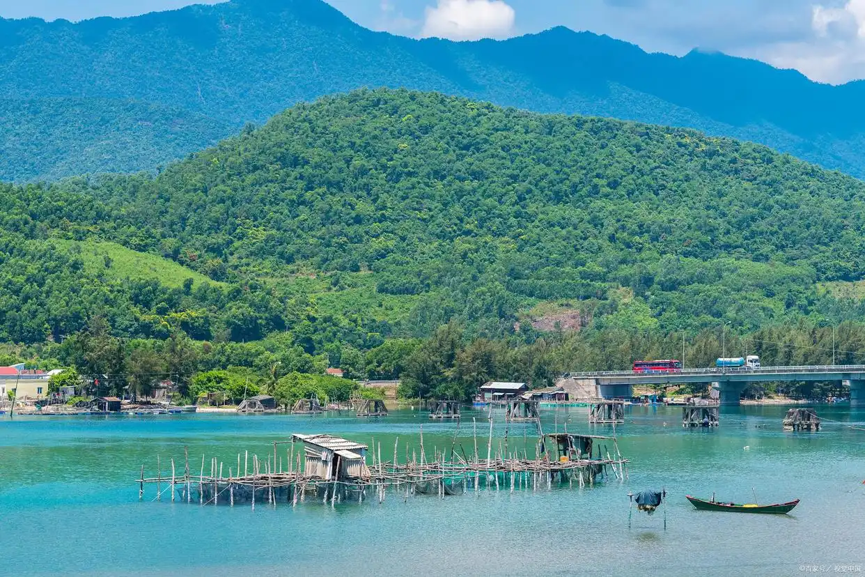 如何给鸡补硒(富硒鸡场生物安全体系建设)-硒宝网