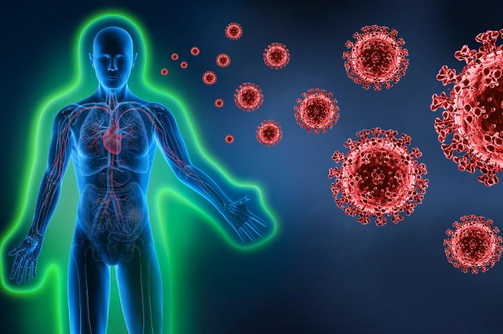 钙硒吃什么补(硒与免疫力抗癌力关系)-硒宝网