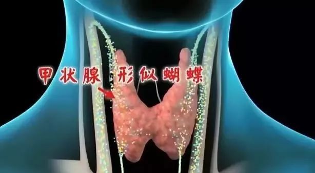 甲亢补硒的药(甲亢甲减症状区别)-硒宝网