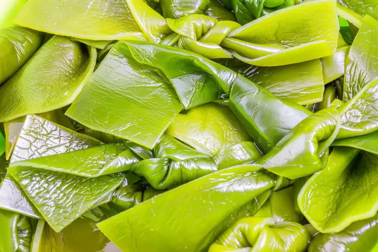 缺硒要怎么补(科学补充硒元素的方法)-硒宝网