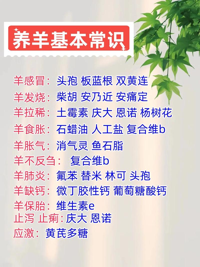 给羊怎么补硒