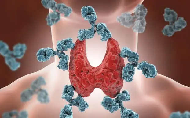 甲减补硒好吗(甲减生活节律调整)-硒宝网