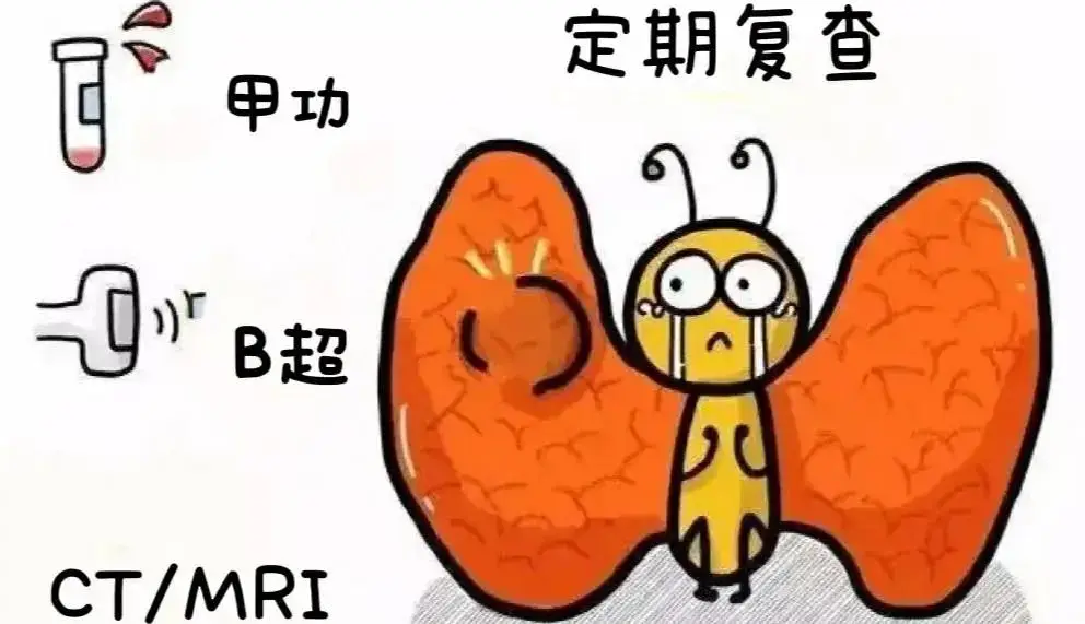 甲减补硒好吗(甲减生活节律调整)-硒宝网