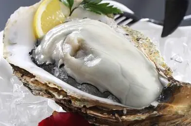 生蚝的功效与作用及禁忌