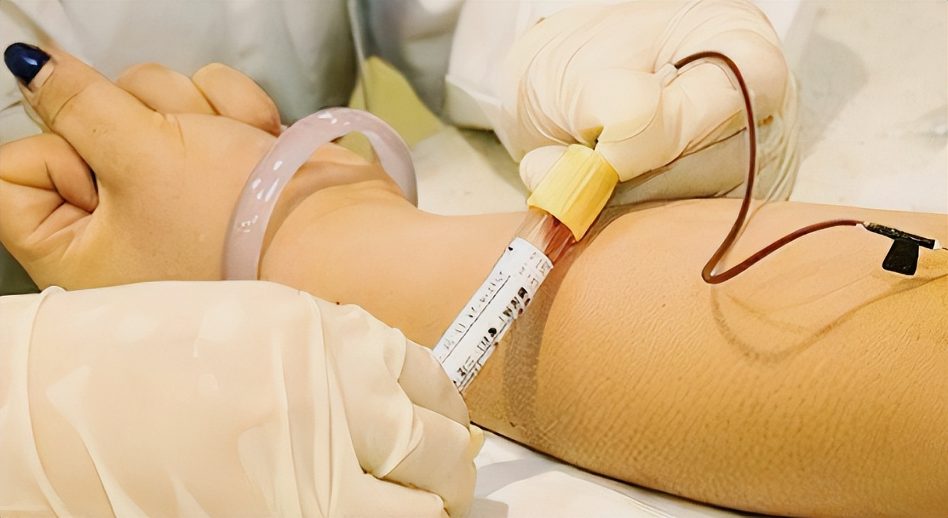 最权威的补硒(紫甘蓝补硒含量高)-硒宝网