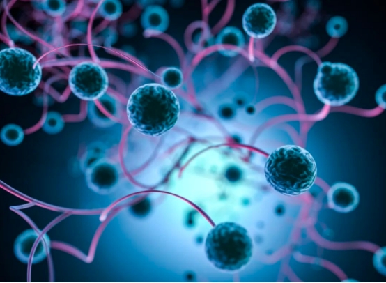 化疗后要补硒(缺硒的危害)-硒宝网