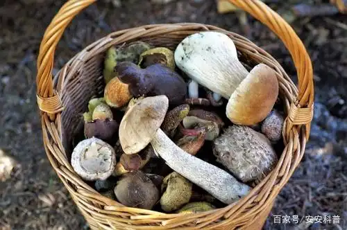 无疾病不补硒(富硒产品与硒元素的作用)-硒宝网