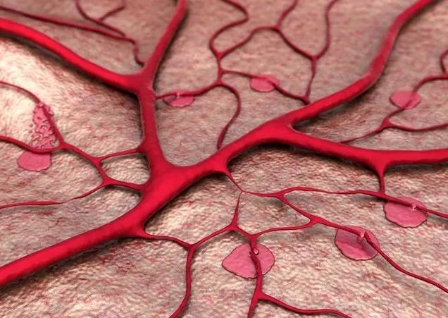 补硒药怎么吃(补硒对血管的好处)-硒宝网