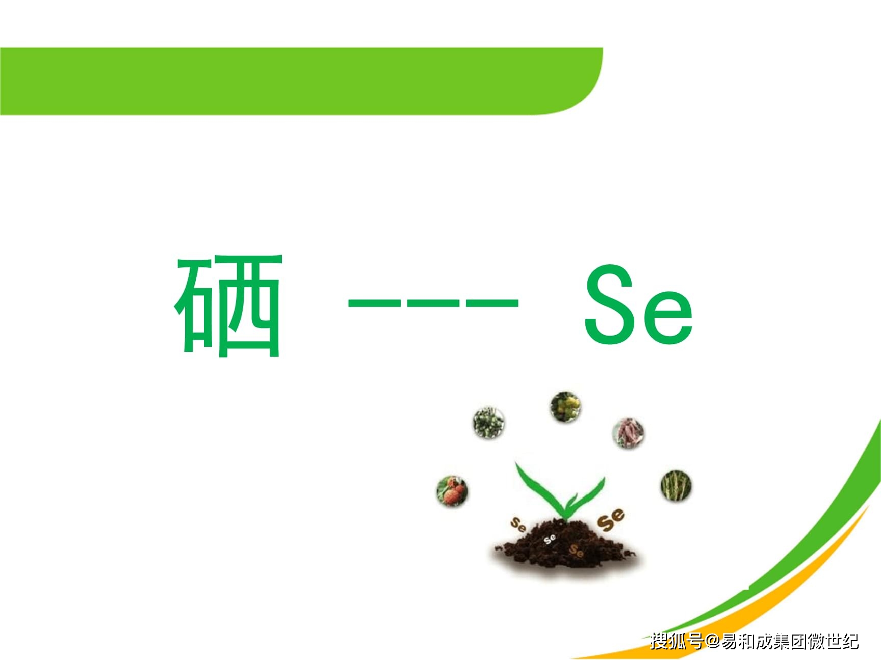 补硒后的危害(有机硒补充方法)-硒宝网