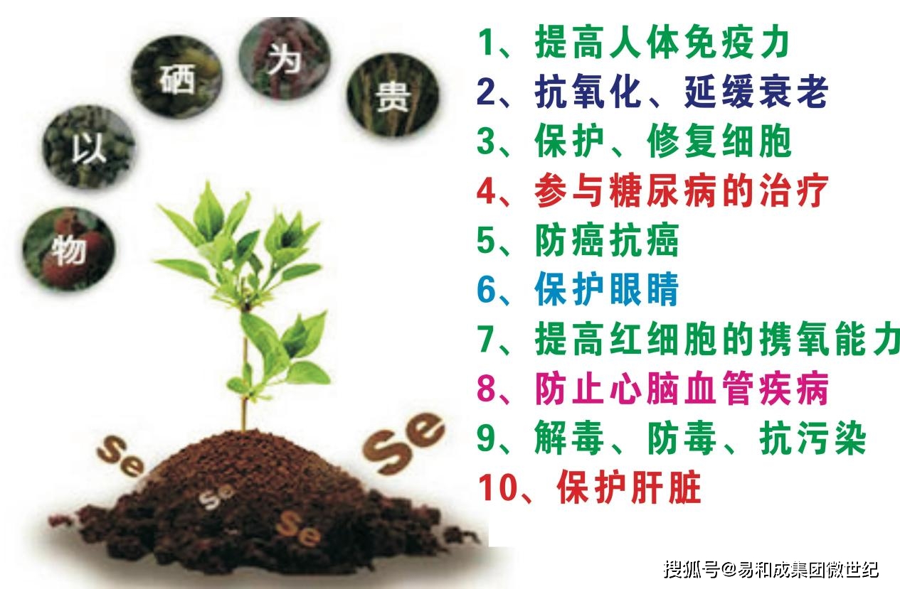 补硒后的危害(有机硒补充方法)-硒宝网