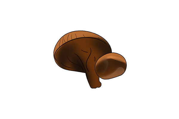 补硒锌吃什么(硒元素与抗衰老作用)-硒宝网