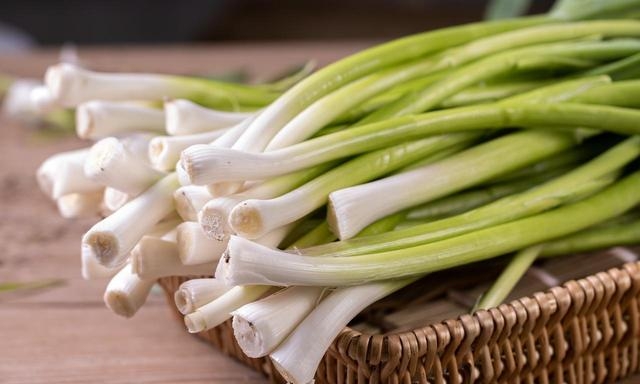 狗需要补硒吗(含硒最高的蔬菜推荐)-硒宝网