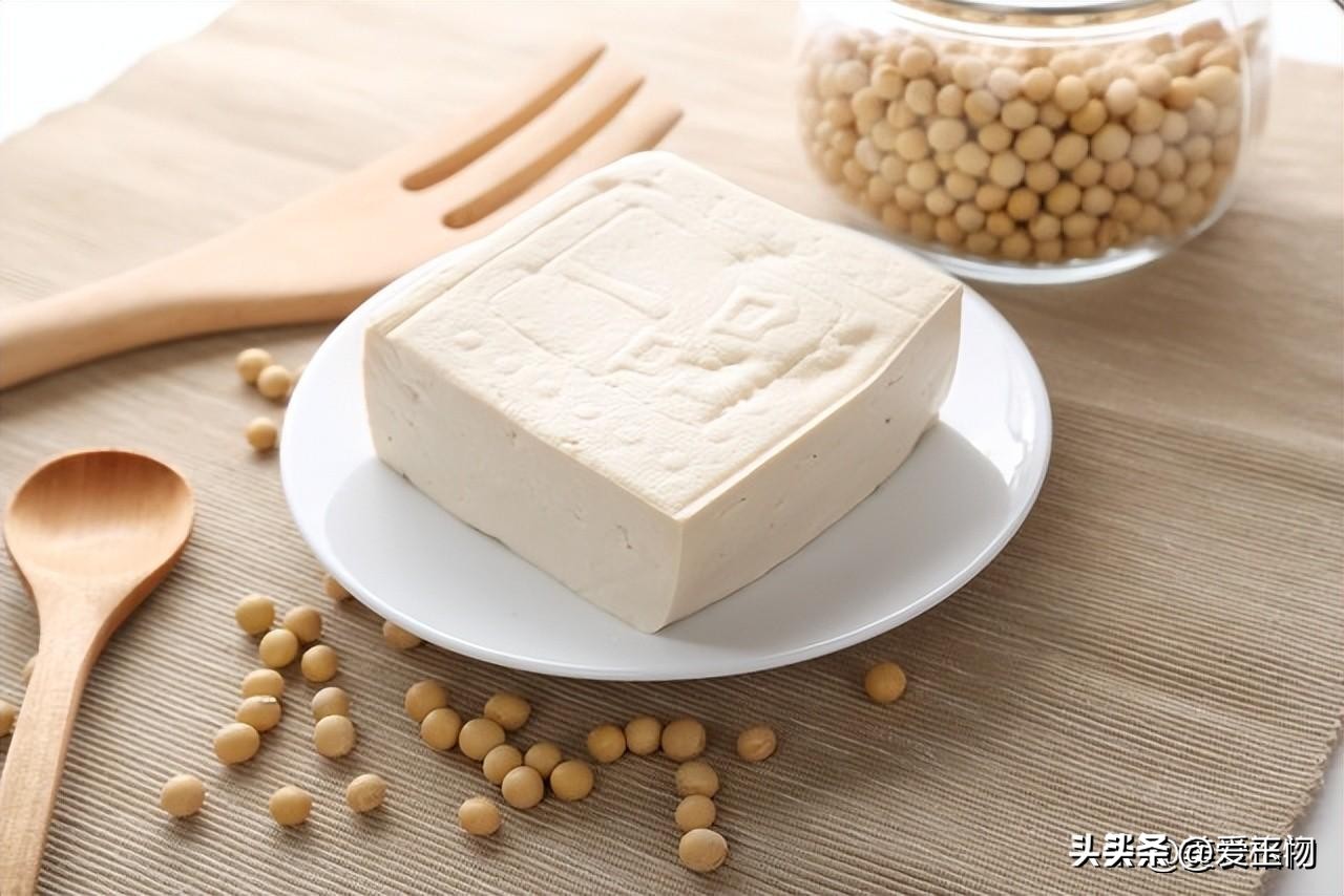 狗需要补硒吗(富含硒的食物推荐)-硒宝网