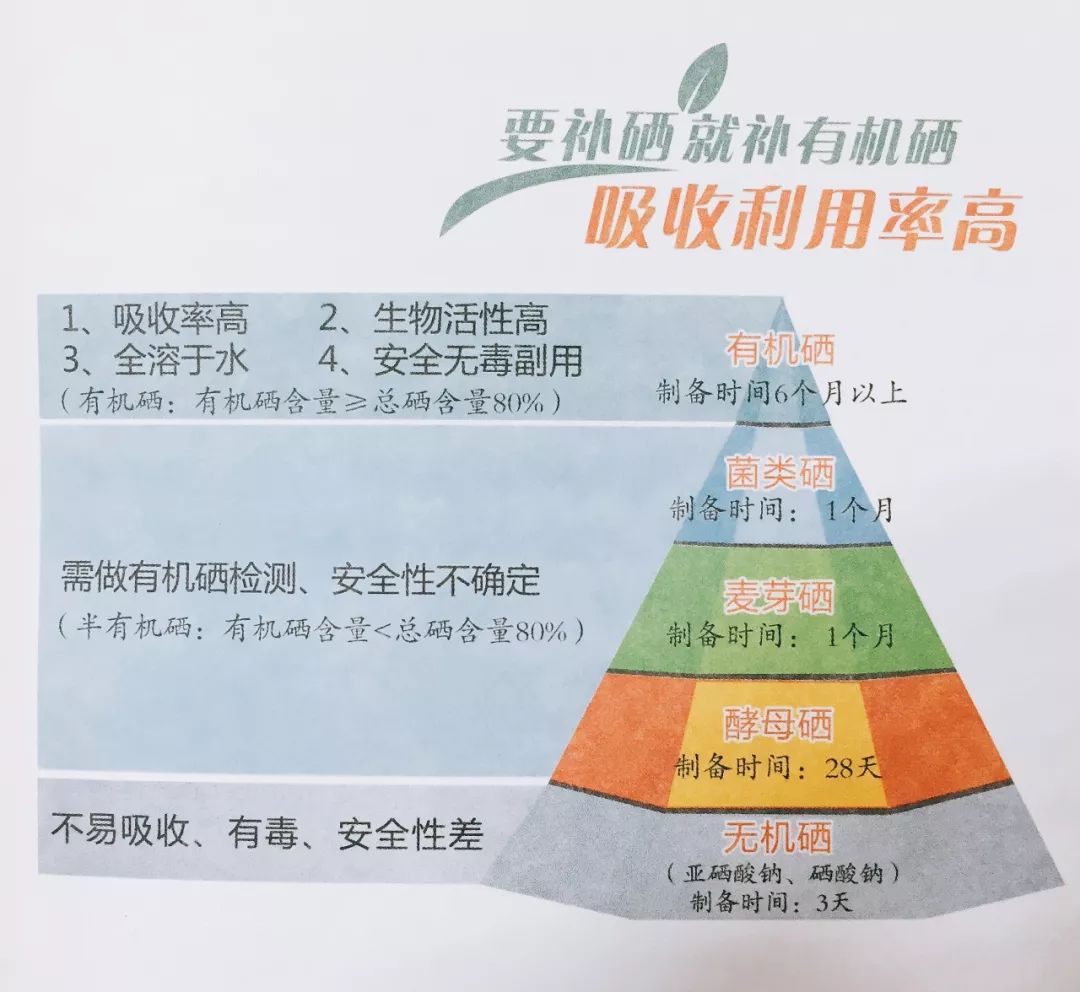 国家补硒日是(硒元素摄取重要性)-硒宝网