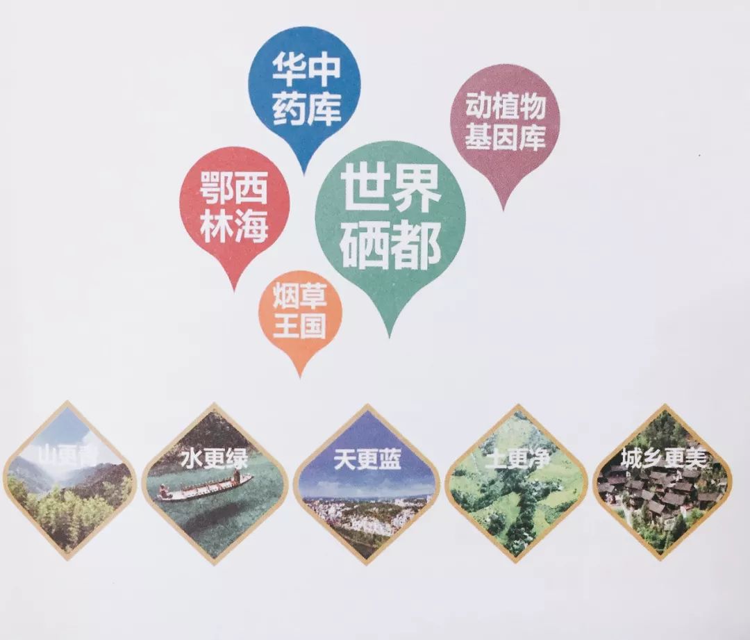 国家补硒日是(硒元素摄取重要性)-硒宝网