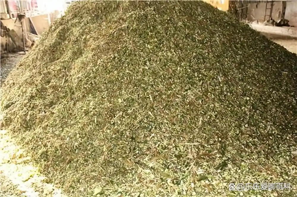 牛补硒的用量（牛微量元素生物利用度）-硒宝网