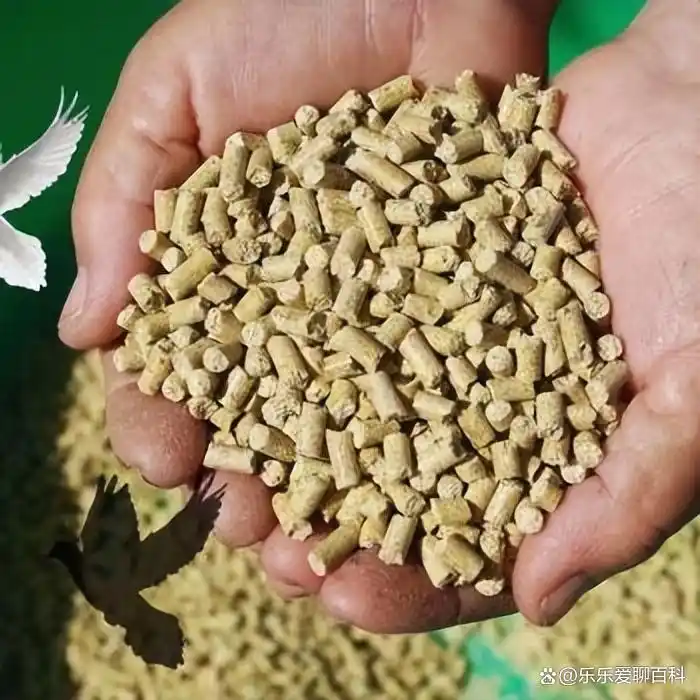 牛补硒的用量（牛微量元素生物利用度）-硒宝网