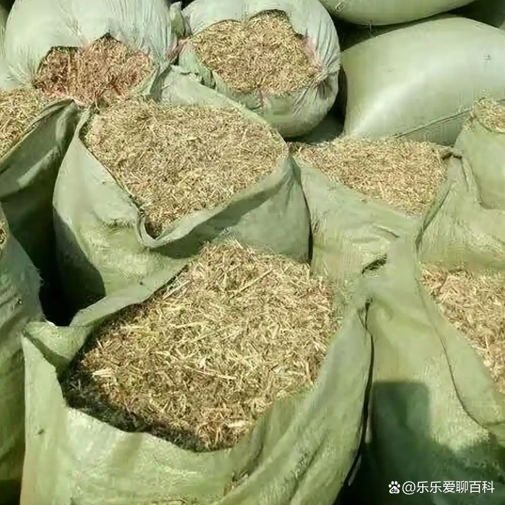 牛补硒的用量（牛微量元素生物利用度）-硒宝网