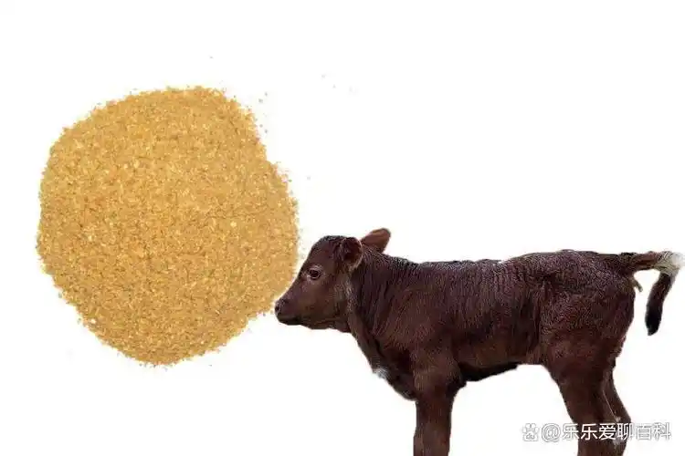 牛补硒的用量（牛微量元素生物利用度）-硒宝网