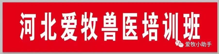 牛补硒的用量(牛矿物质缺乏症状及预防)-硒宝网