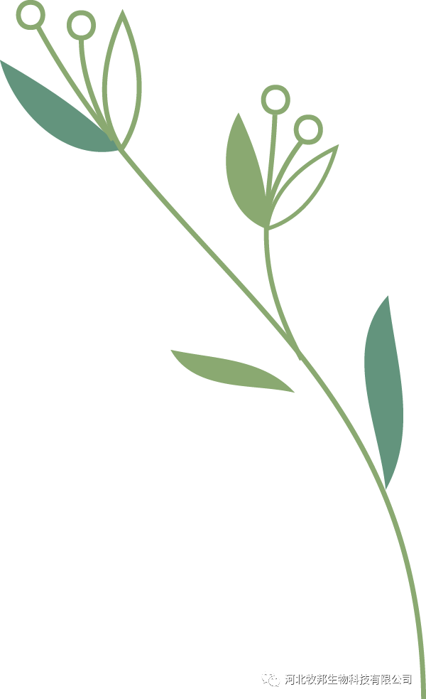 牛补硒的用量(牛矿物质缺乏症状及预防)-硒宝网