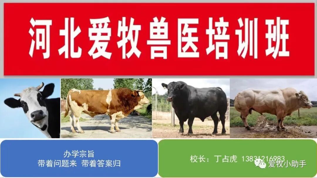 牛补硒的用量(牛矿物质缺乏症状及预防)-硒宝网