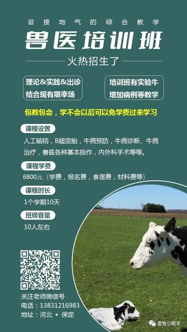 牛补硒的用量(牛矿物质缺乏症状及预防)-硒宝网