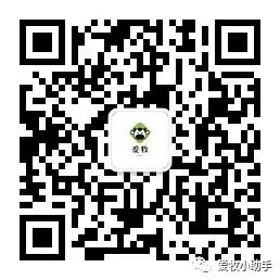 牛补硒的用量(牛矿物质缺乏症状及预防)-硒宝网