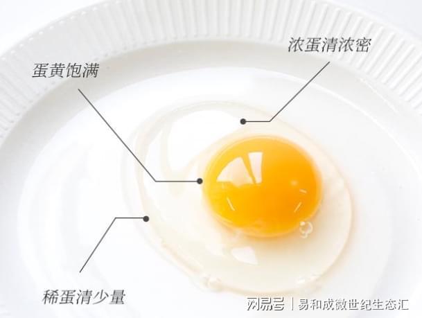 谁最需要补硒（富硒鸡蛋是否智商税）-硒宝网