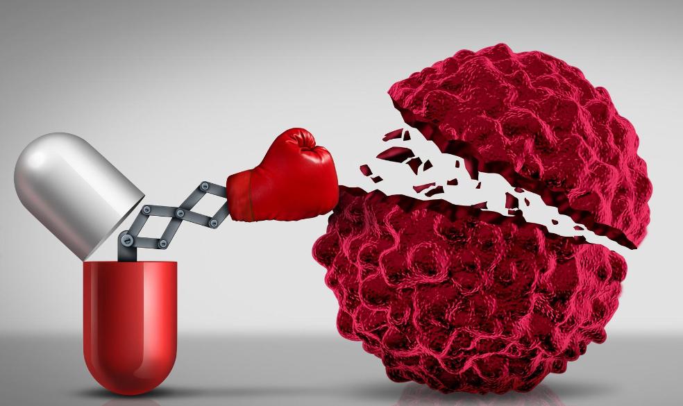 肺癌可补硒吗（天然硒库巴西坚果）-硒宝网