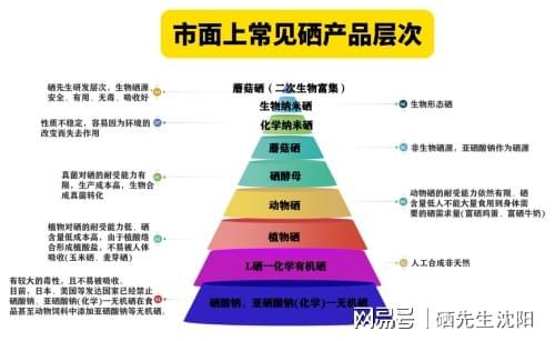 补有机硒的药(生物纳米硒蘑菇硒)-硒宝网