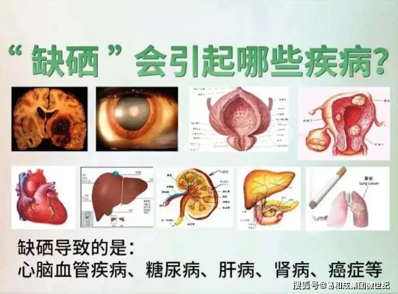 有无必要补硒（硒缺乏地区）-硒宝网